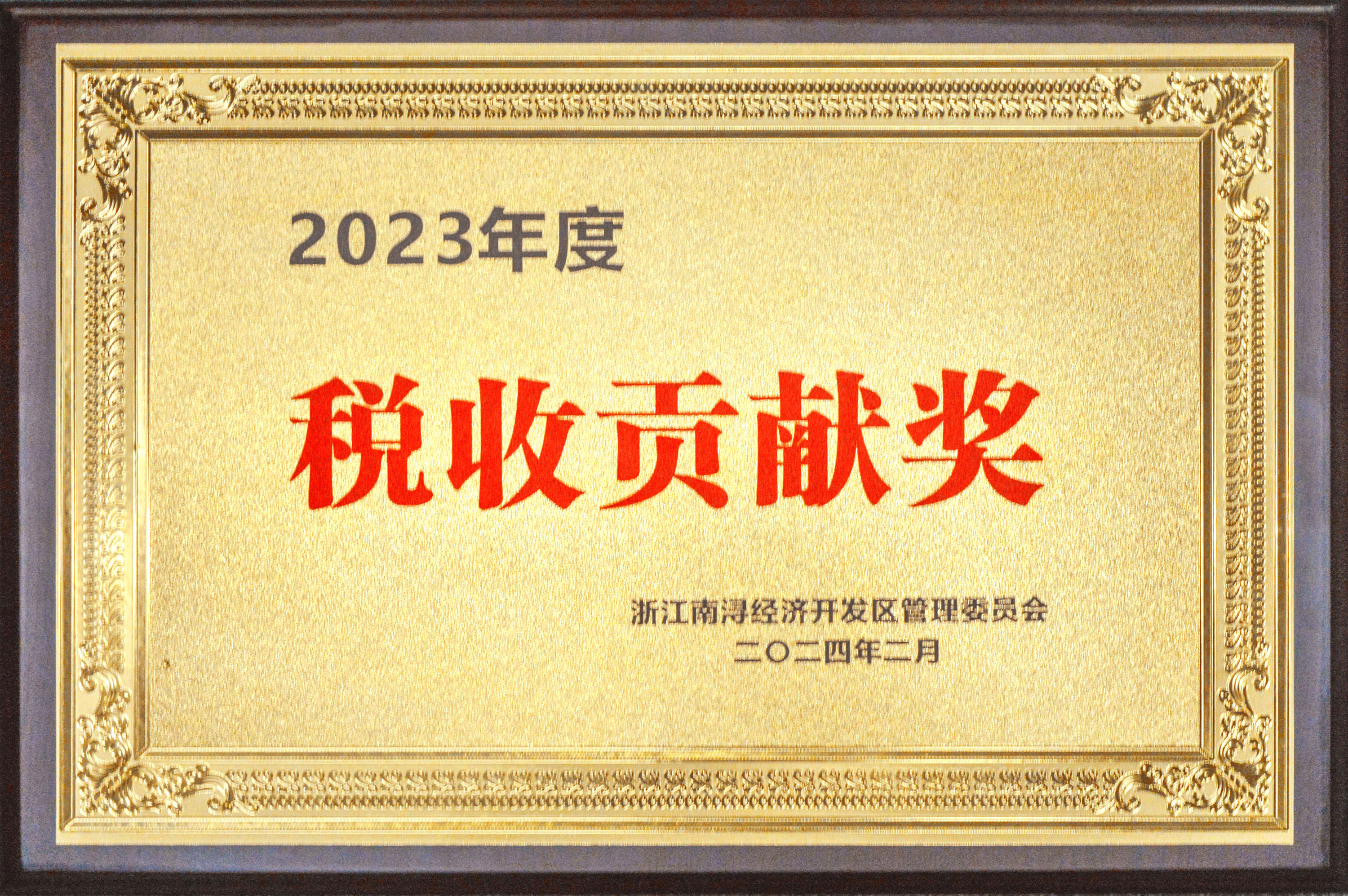 實(shí)干爭先 龍騰奮起——巨人集團(tuán)殊榮連連