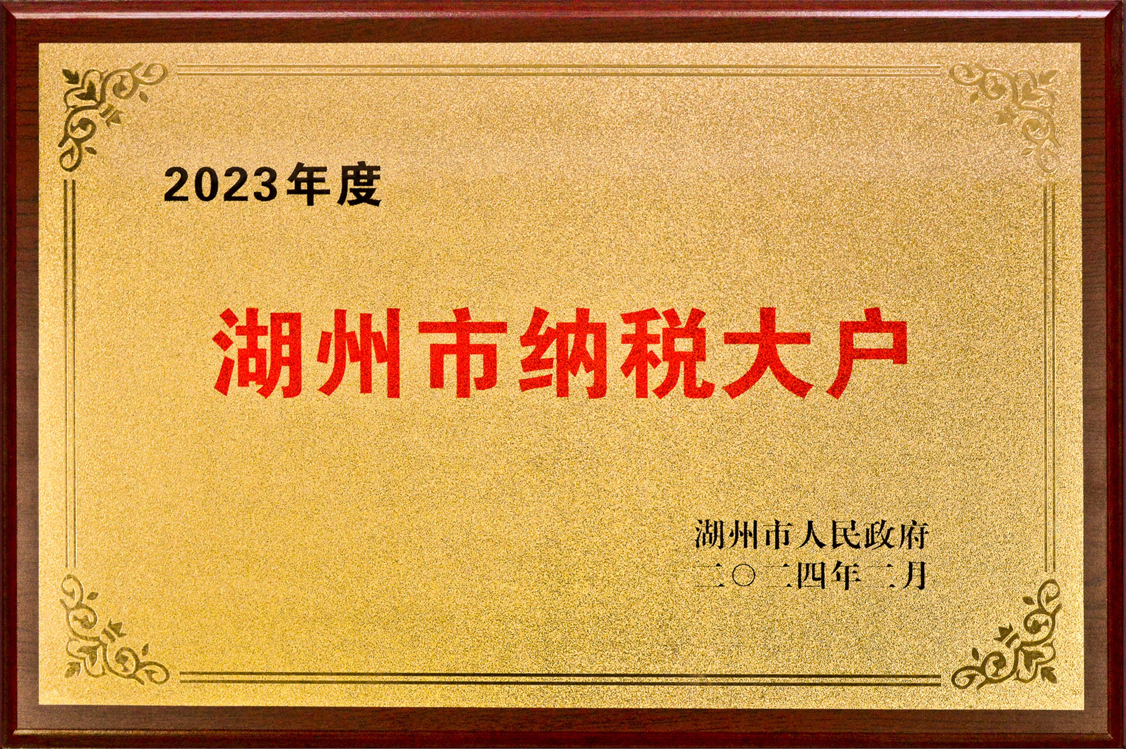 實(shí)干爭先 龍騰奮起——巨人集團(tuán)殊榮連連
