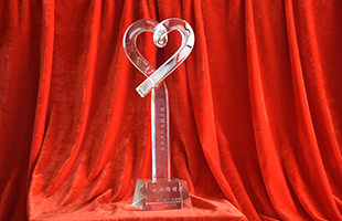 2019年浙江省慈善獎(jiǎng)機(jī)構(gòu)捐贈(zèng)獎(jiǎng)